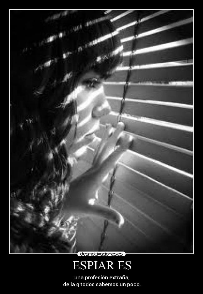 carteles espiar desmotivaciones