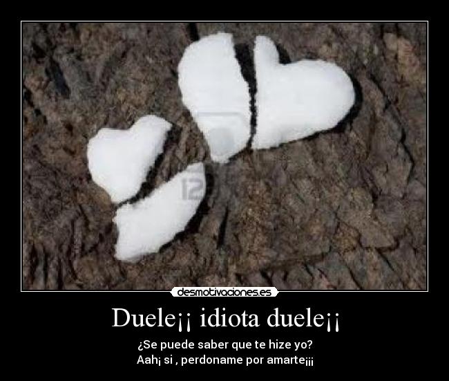 Duele¡¡ idiota duele¡¡ - 