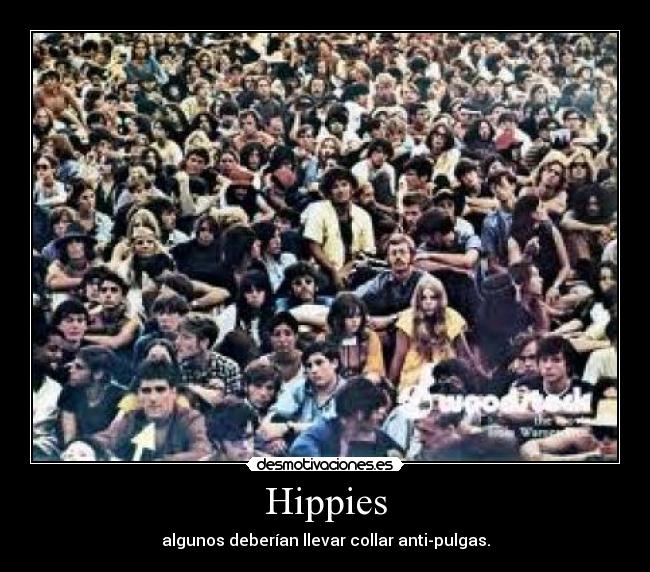 Hippies - algunos deberían llevar collar anti-pulgas.