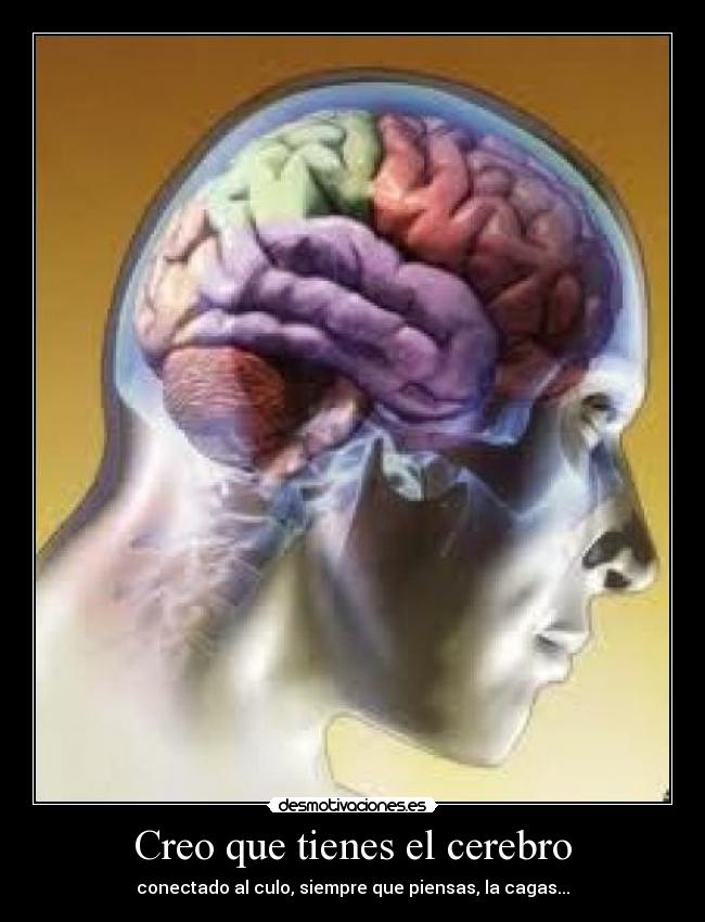 Creo que tienes el cerebro - 