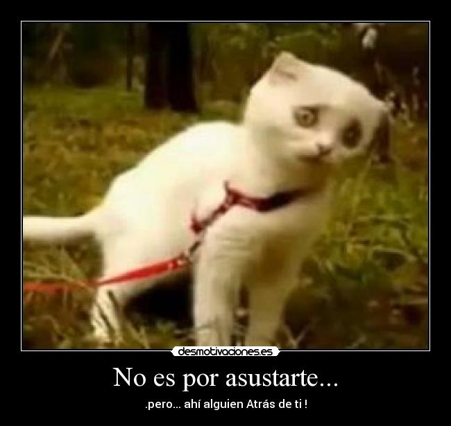 No es por asustarte... -