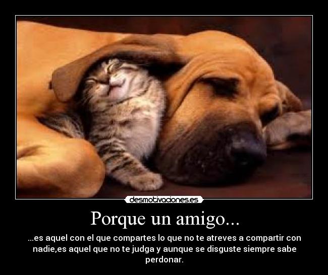 Porque un amigo... -