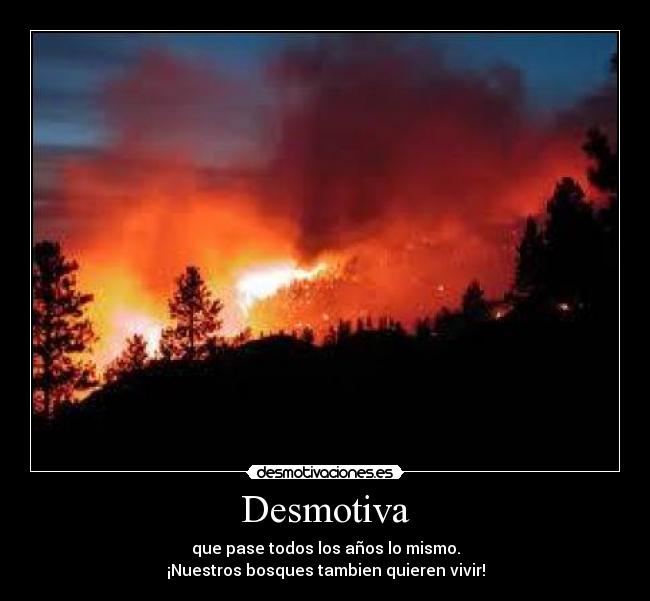 Desmotiva - que pase todos los años lo mismo.
¡Nuestros bosques tambien quieren vivir!