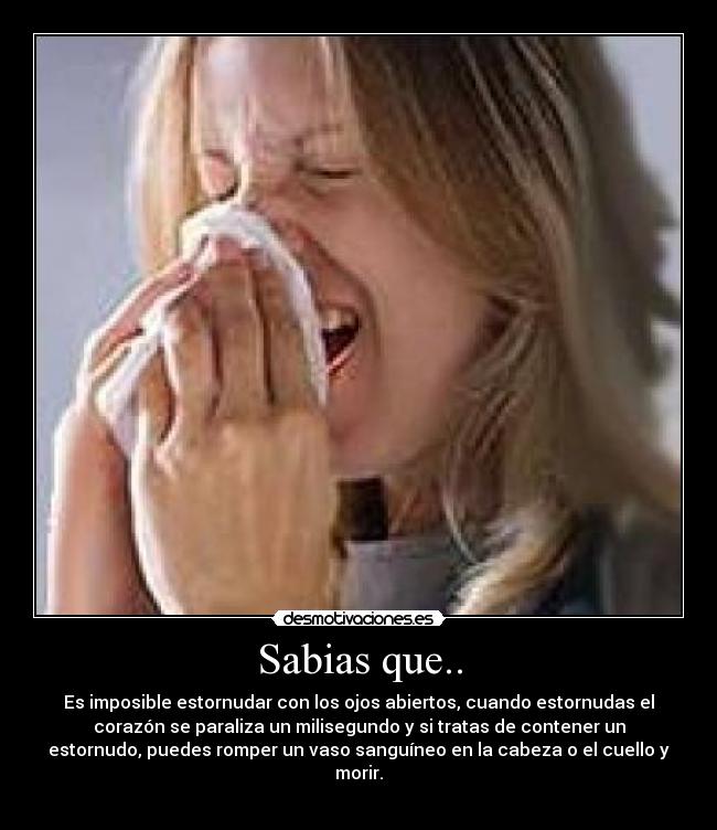Sabias que.. - Es imposible estornudar con los ojos abiertos, cuando estornudas el
corazón se paraliza un milisegundo y si tratas de contener un
estornudo, puedes romper un vaso sanguíneo en la cabeza o el cuello y
morir.
