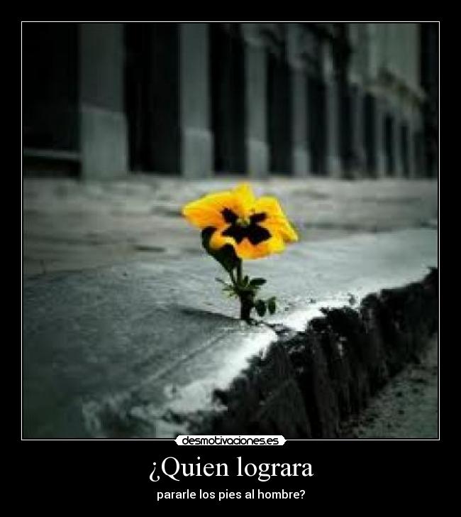 carteles lakasito desmotivaciones