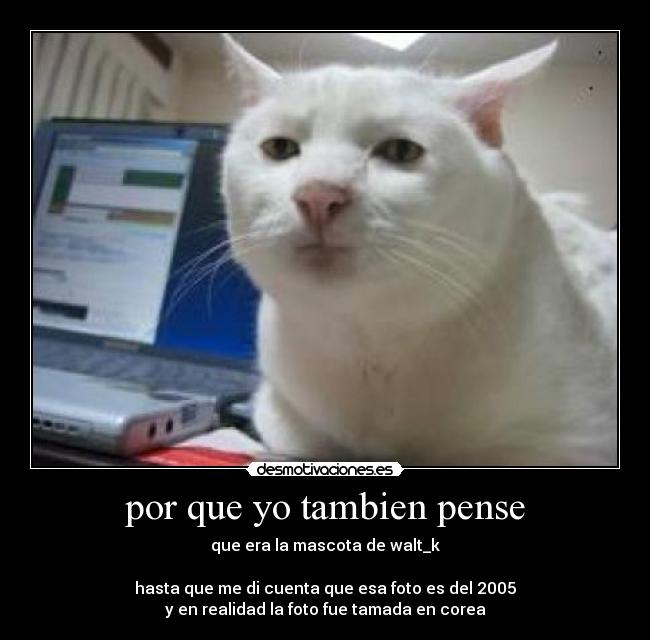 por que yo tambien pense - que era la mascota de walt_k
hasta que me di cuenta que esa foto es del 2005
y en realidad la foto fue tamada en corea