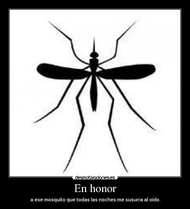 En honor - a ese mosquito que todas las noches me susurra al oido.