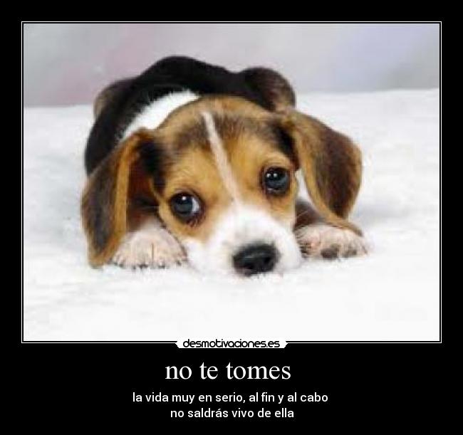 no te tomes  - 