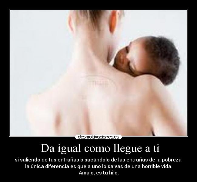 carteles bebe desmotivaciones