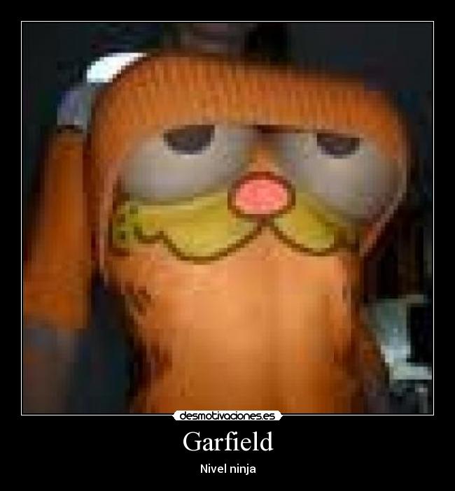 Garfield - Nivel ninja