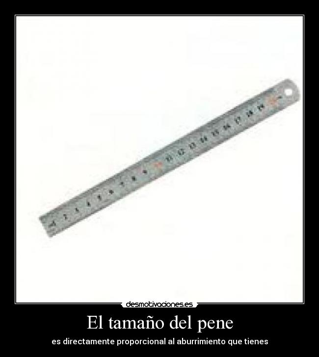 El tamaño del pene -