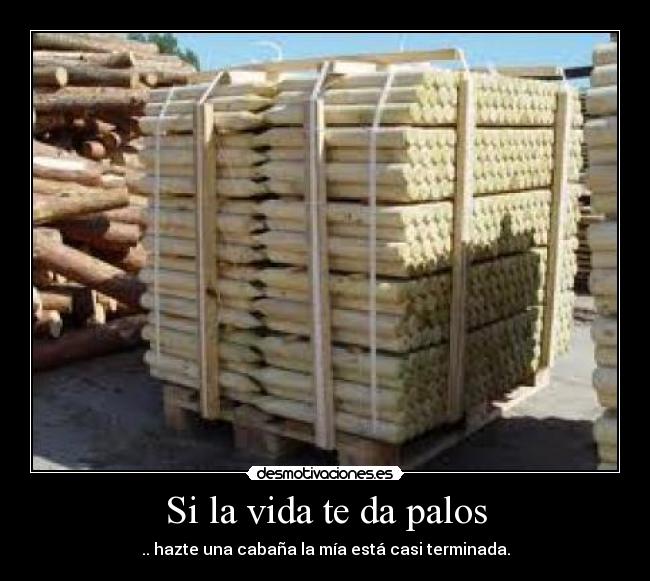 Si la vida te da palos - 