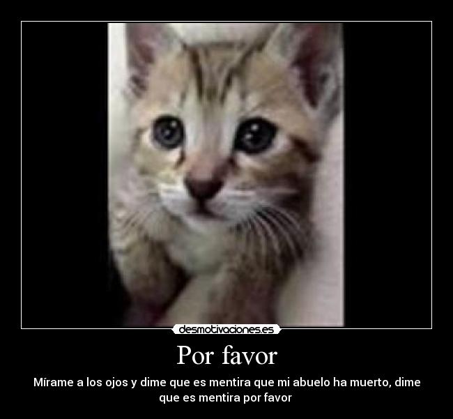 carteles porfavor desmotivaciones