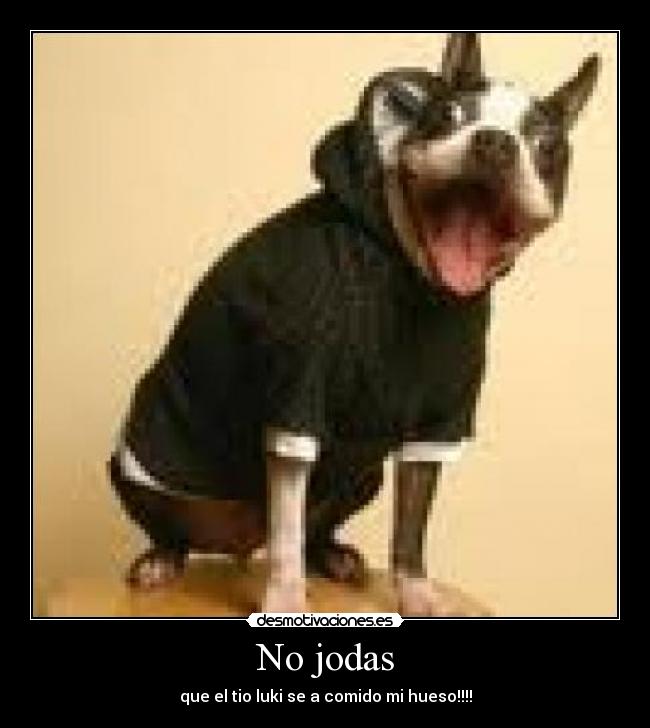 No jodas - que el tio luki se a comido mi hueso!!!!