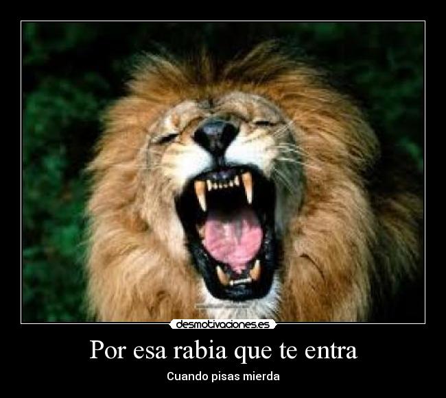 Por esa rabia que te entra - 
