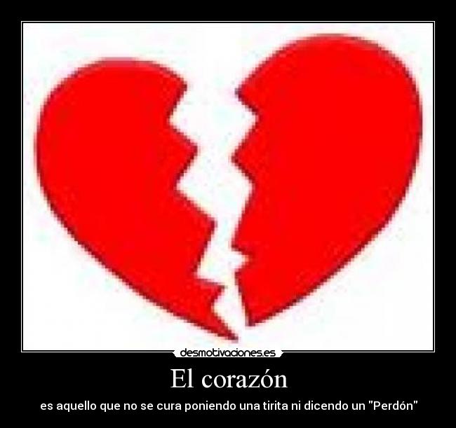 El corazón - 