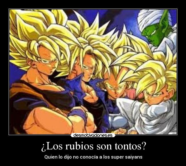 ¿Los rubios son tontos? - Quien lo dijo no conocía a los super saiyans