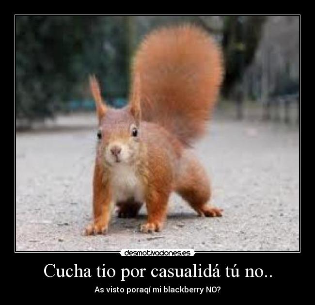 Cucha tio por casualidá tú no.. -