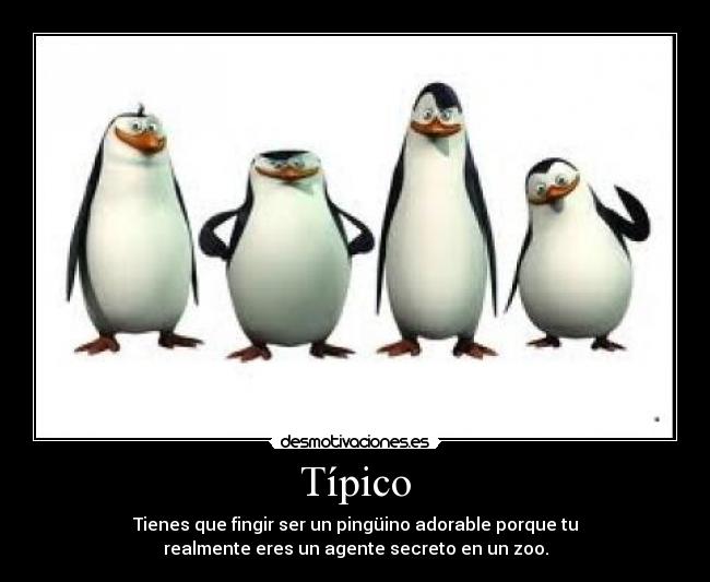 Típico - 