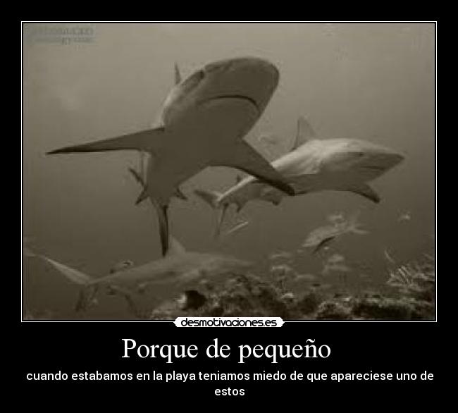 Porque de pequeño - cuando estabamos en la playa teniamos miedo de que apareciese uno de estos