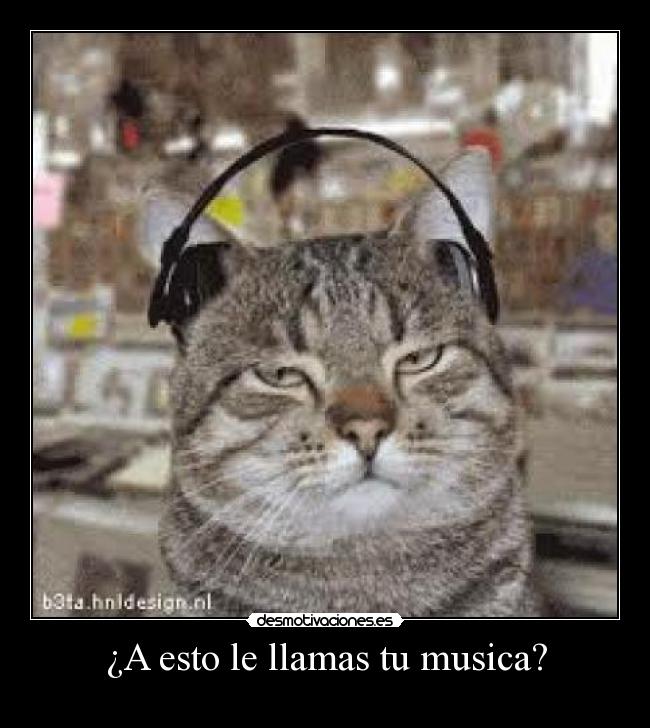 ¿A esto le llamas tu musica? - 