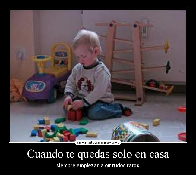 Cuando te quedas solo en casa -