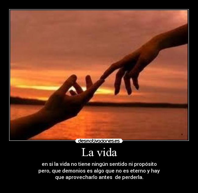 La vida - en si la vida no tiene ningún sentido ni propósito
pero, que demonios es algo que no es eterno y hay
que aprovecharlo antes  de perderla.
