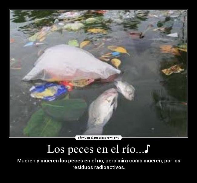 Los peces en el río...♪ - 