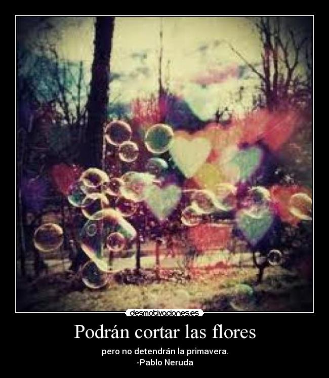 Podrán cortar las flores -