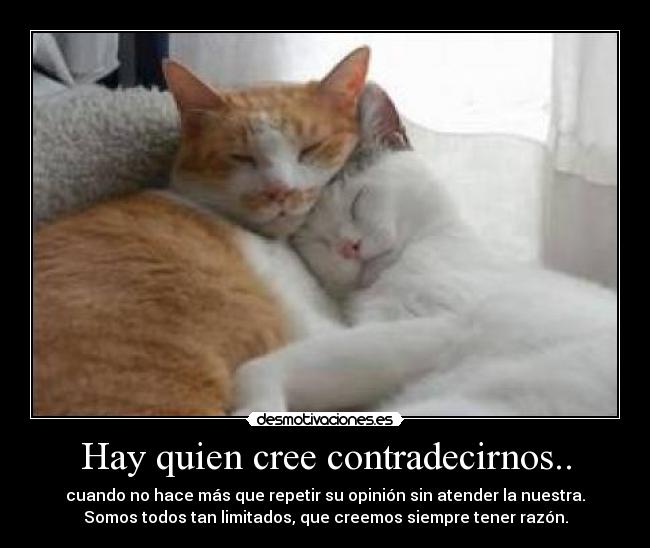Hay quien cree contradecirnos.. - cuando no hace más que repetir su opinión sin atender la nuestra.
Somos todos tan limitados, que creemos siempre tener razón.