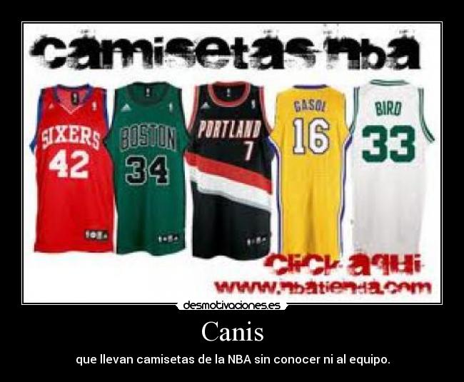 Canis - que llevan camisetas de la NBA sin conocer ni al equipo.