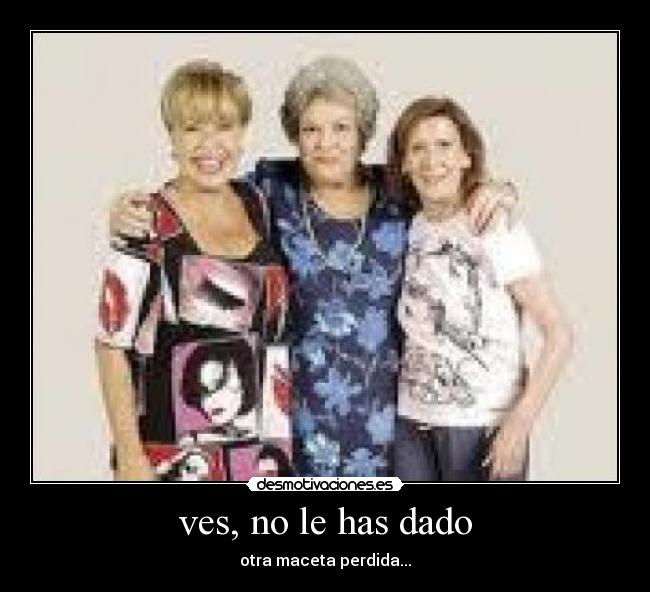 ves, no le has dado - otra maceta perdida...
