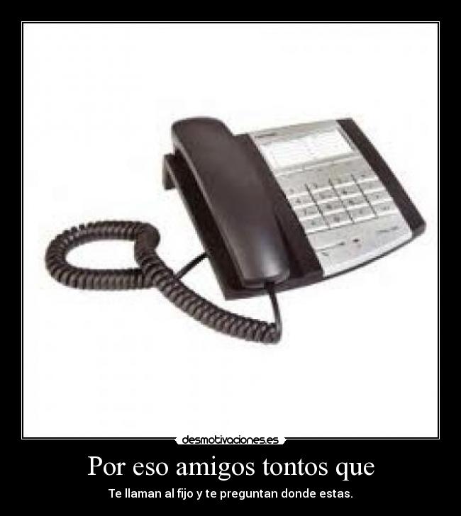 Por eso amigos tontos que - Te llaman al fijo y te preguntan donde estas.