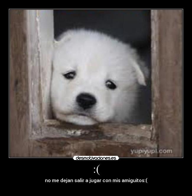 :( - no me dejan salir a jugar con mis amiguitos:(