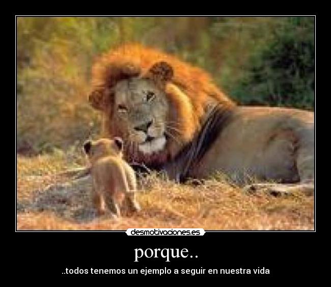 porque.. - ..todos tenemos un ejemplo a seguir en nuestra vida