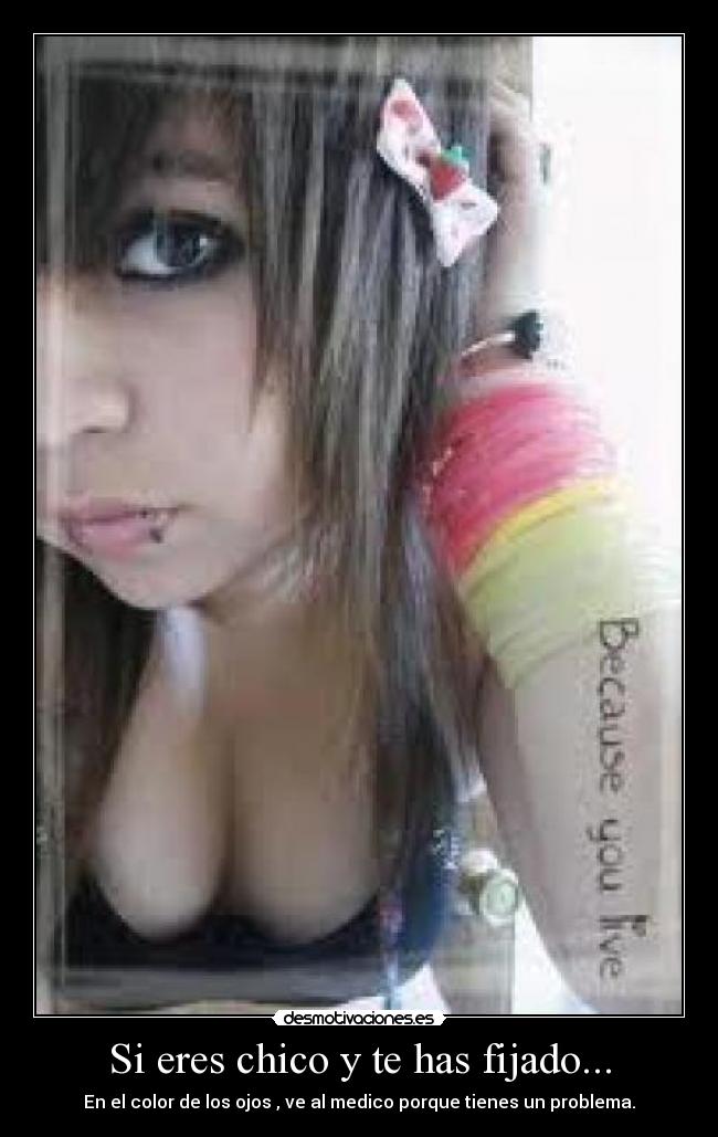 carteles wwwdesmotivacioneses desmotivaciones