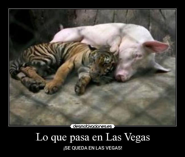 Lo que pasa en Las Vegas - 