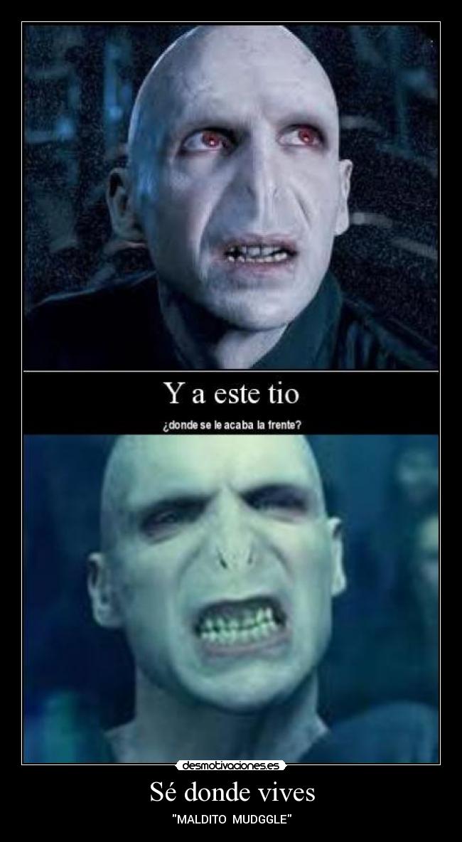 Sé donde vives - MALDITO MUDGGLE