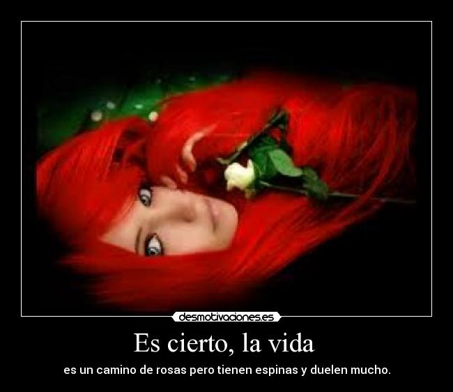 Es cierto, la vida  - es un camino de rosas pero tienen espinas y duelen mucho.