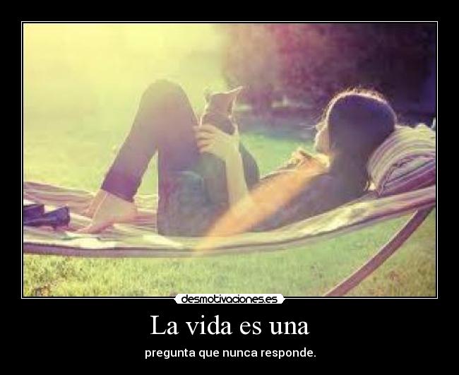 La vida es una - pregunta que nunca responde.