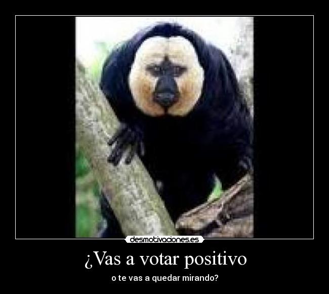 ¿Vas a votar positivo - o te vas a quedar mirando?