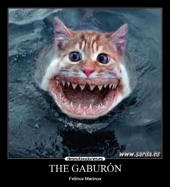 THE GABURÓN - 