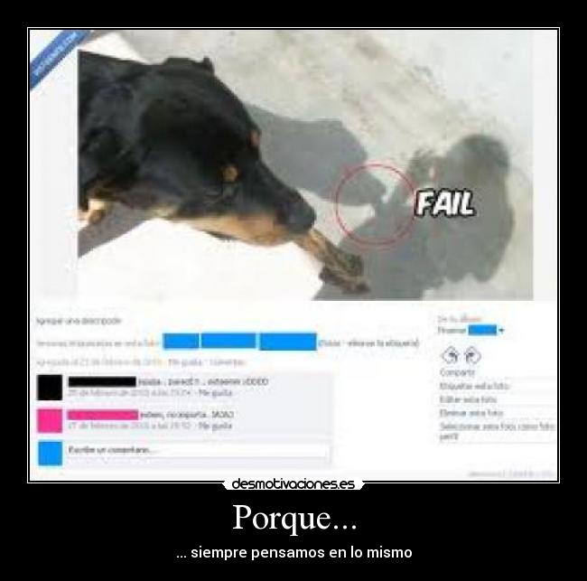 Porque... -