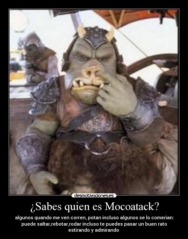 ¿Sabes quien es Mocoatack? - algunos quando me ven corren, potan incluso algunos se lo comerian:
puede saltar,rebotar,rodar incluso te puedes pasar un buen rato
estirando y admirando