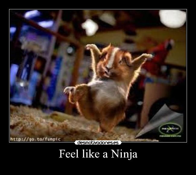 Feel like a Ninja -