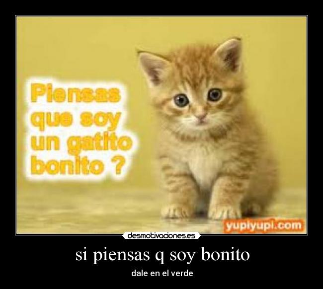 si piensas q soy bonito - dale en el verde