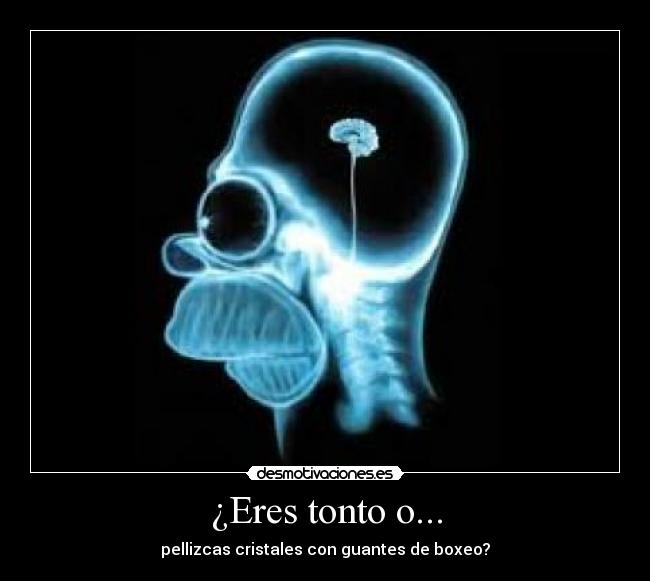 ¿Eres tonto o... -