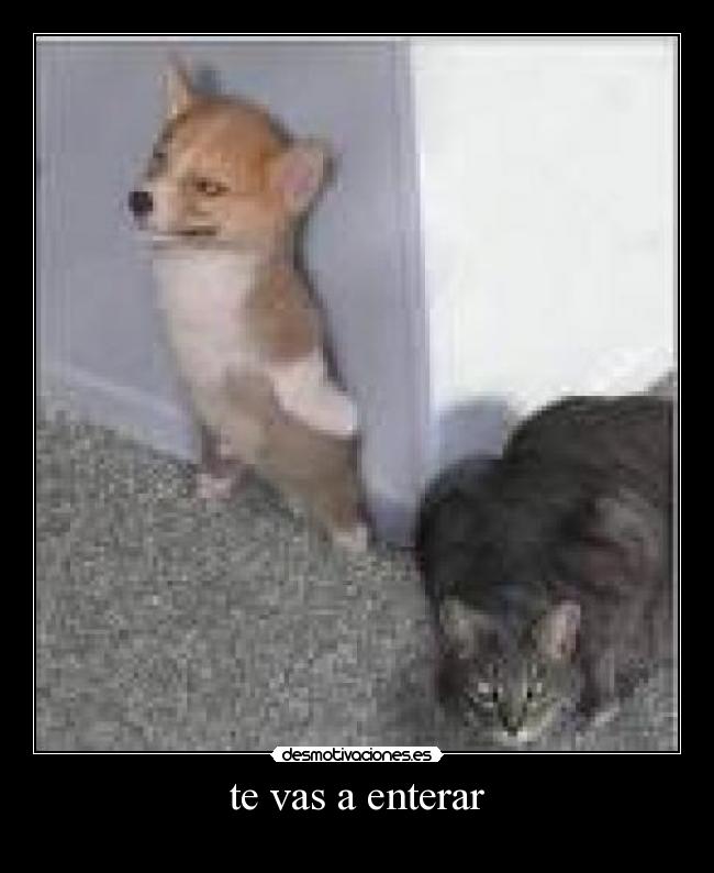 te vas a enterar Desmotivaciones