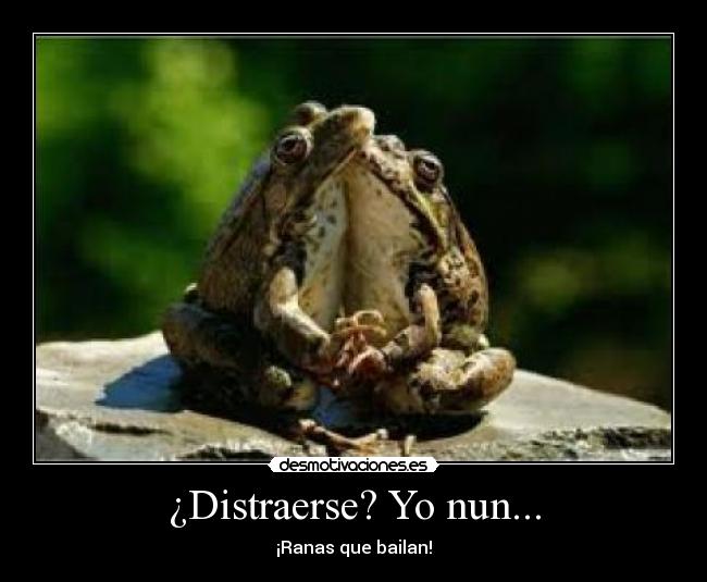 ¿Distraerse? Yo nun... - 