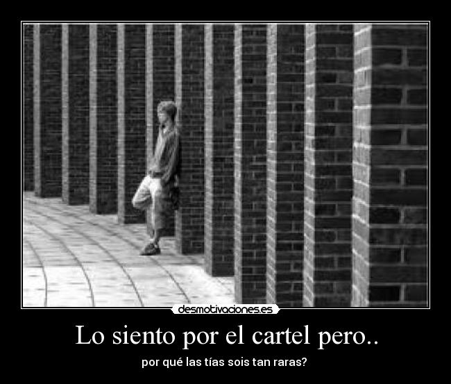 Lo siento por el cartel pero.. - 